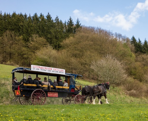 Literatur-Kutsche im Lengeltal